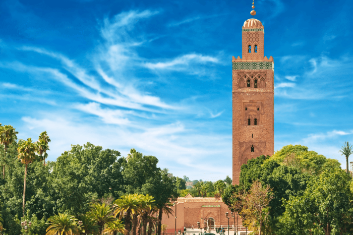 10 Days of Moroccan Magic